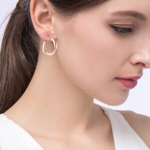 Twisted-Irregular-Hoop-Earrings-for-Women.jpg